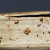 message #85627