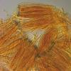 message #85482